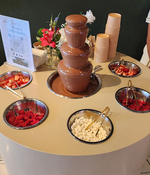 Chocolate fountain dessert station